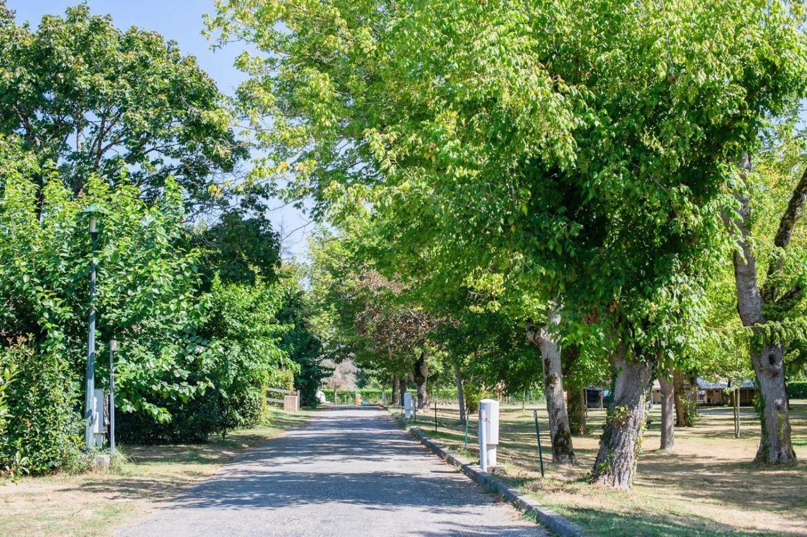 קונדום Camping Onlycamp L'Argente מראה חיצוני תמונה